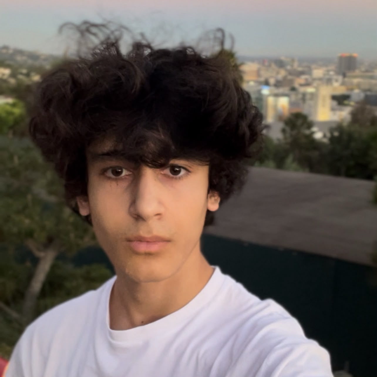 Vlad Avetisian | AR AI