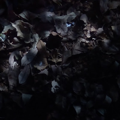 Bhavesh itankar
