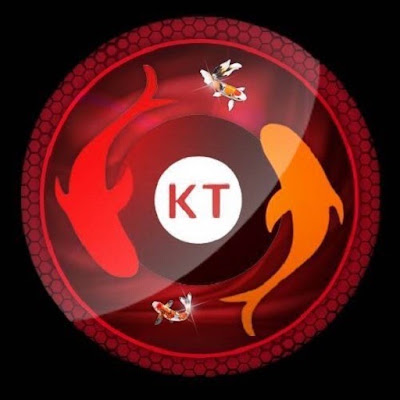 Koitoto Bandar Togel Online