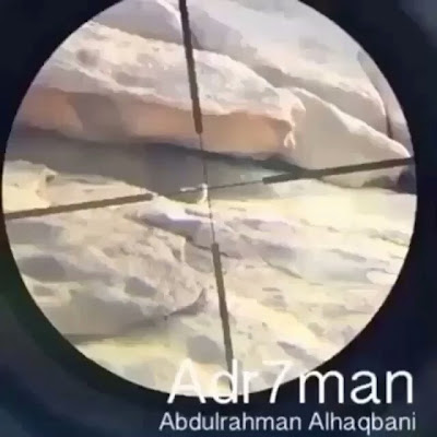 إبداعات ومعلومات