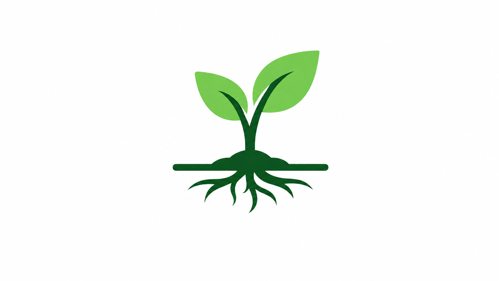 Wealth Roots