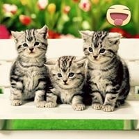 Luna Sofia Cardenas Abril