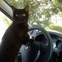 Паша Триандафилов