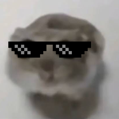 O_O