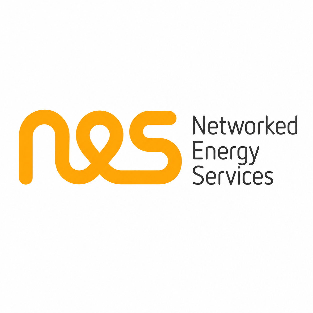 Networked Energy Services