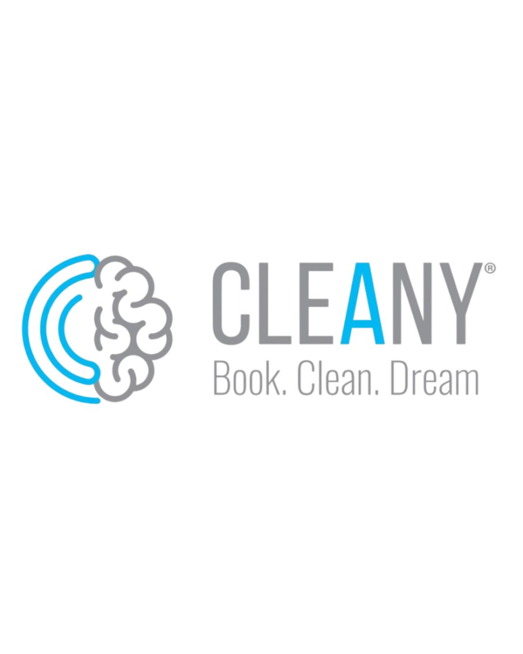 Cleany Franchise