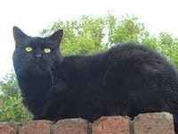 Louise-Anne Pilsbury