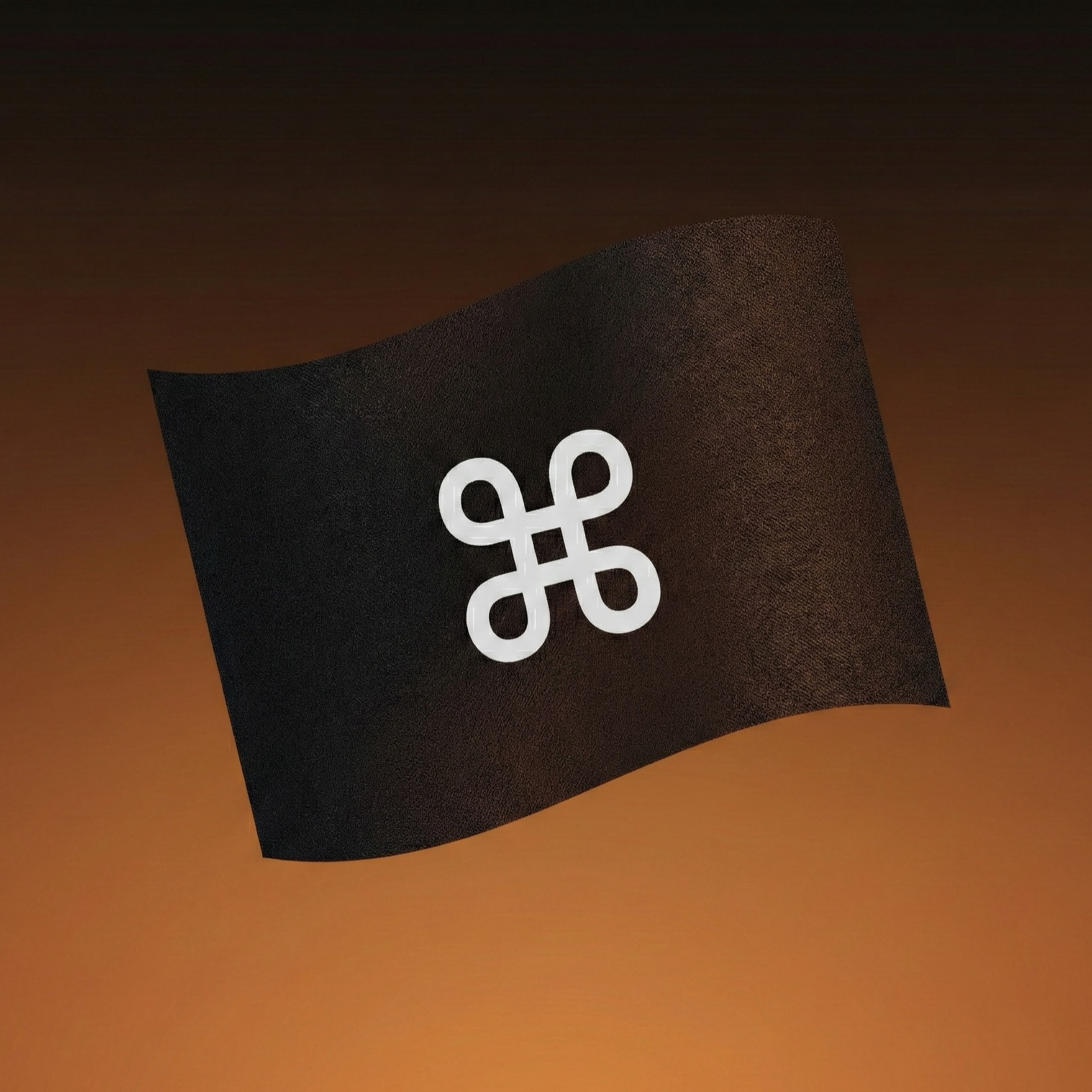 The Black Flagger