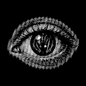 HANDEYES DEV