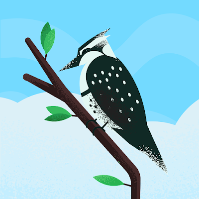 Meta Perch