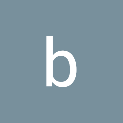 bloomappsupport bloom