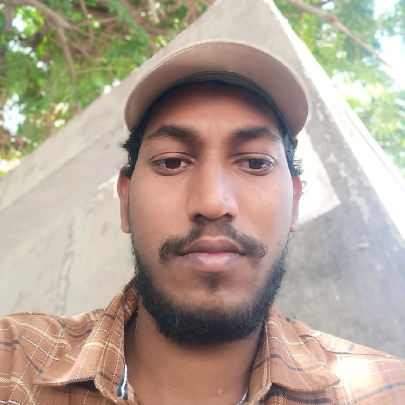 T Ravi varma