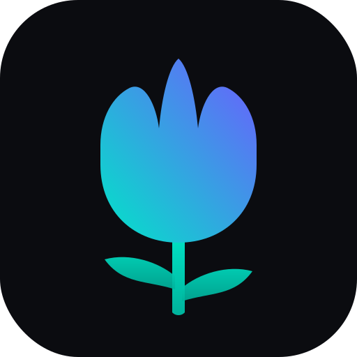 Tulip