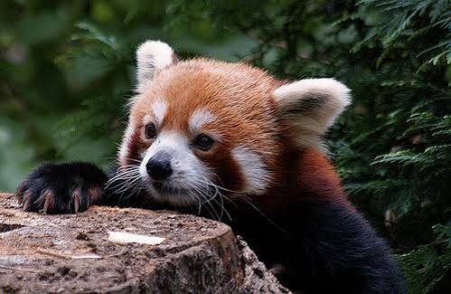 Edmund Yip