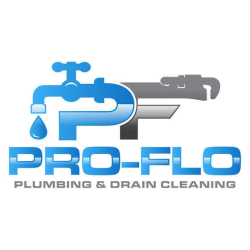 Pro-Flo Plumbing & Drain Cleaning