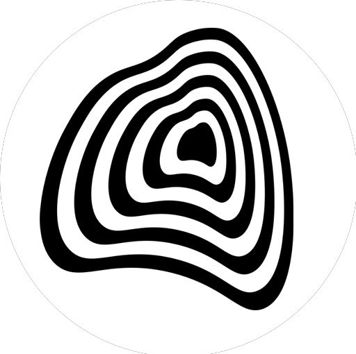 Amorphic Labs