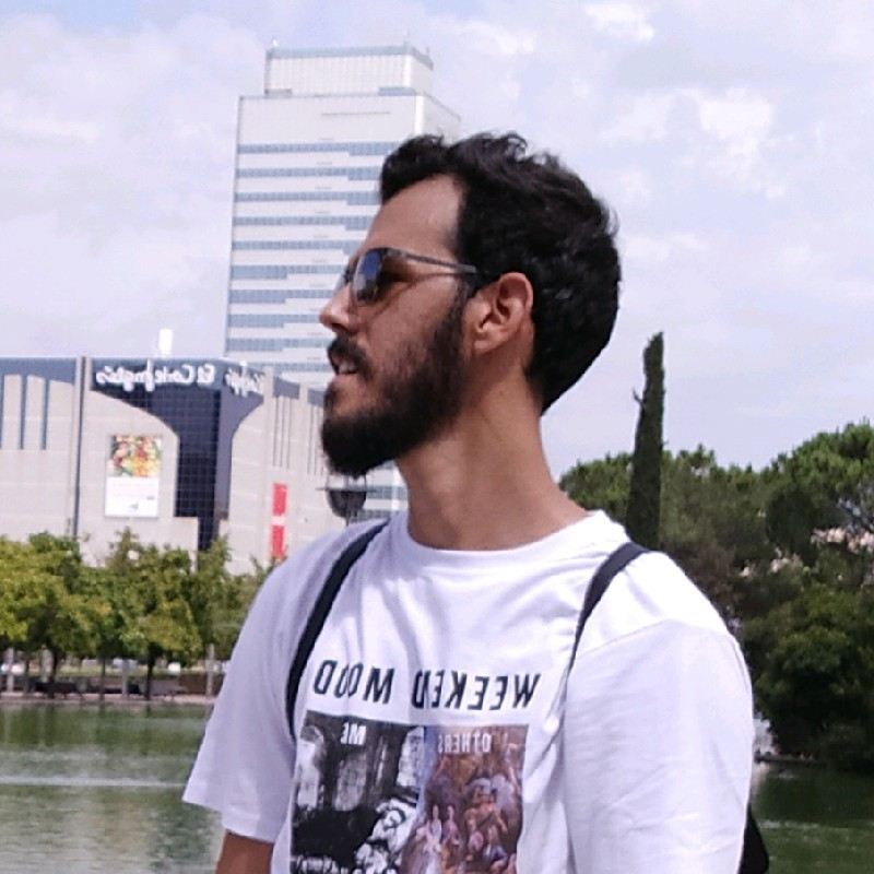 Michel Borrego Hernandez