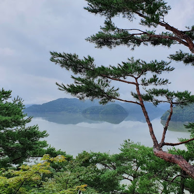 박정원 (오리엔트)