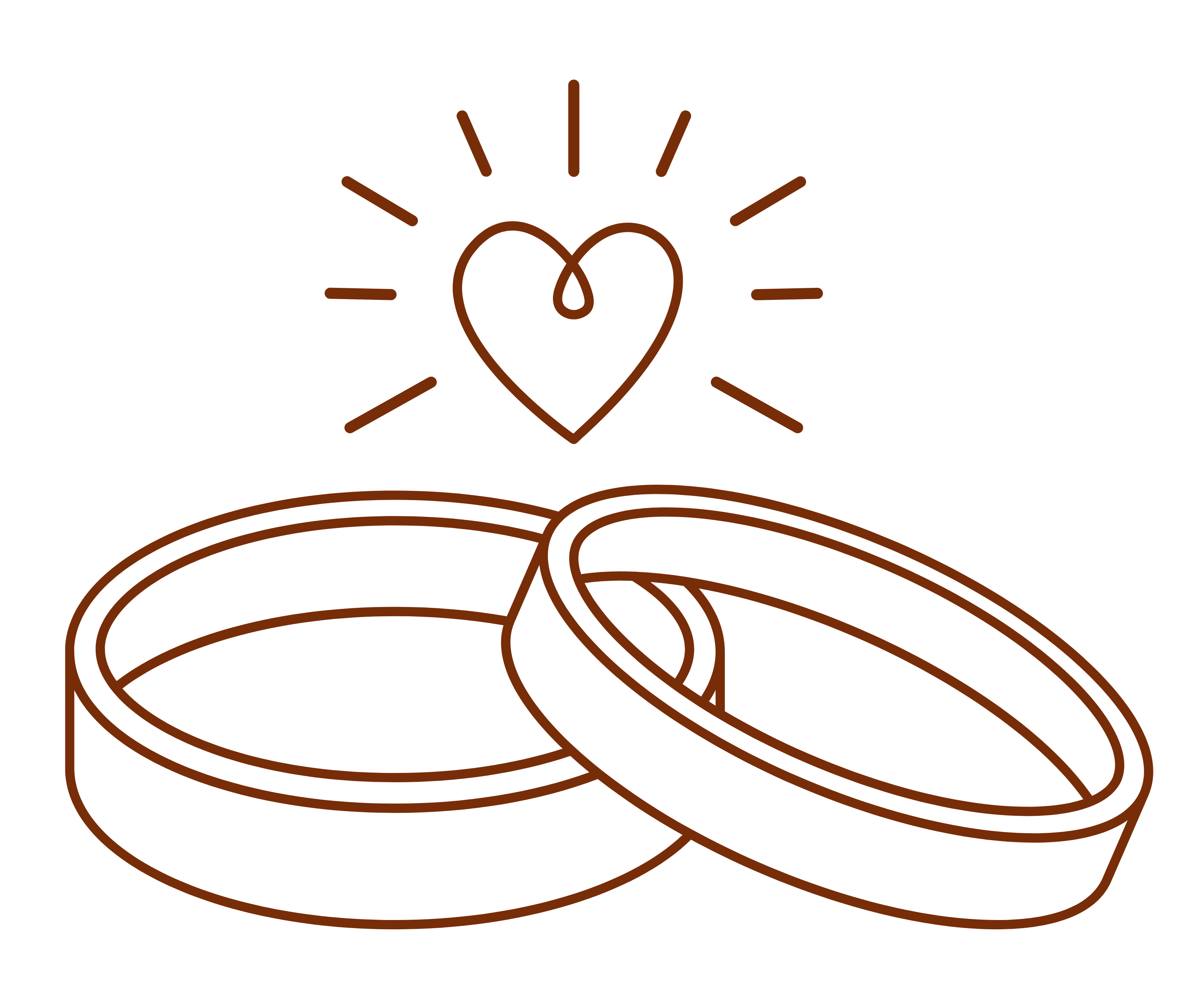 Marriage Biodata PDF