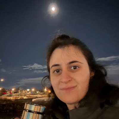 Parisa Etemadi