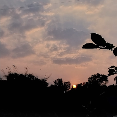 Vaishnavi Manjare