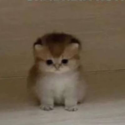 Kyrylo 