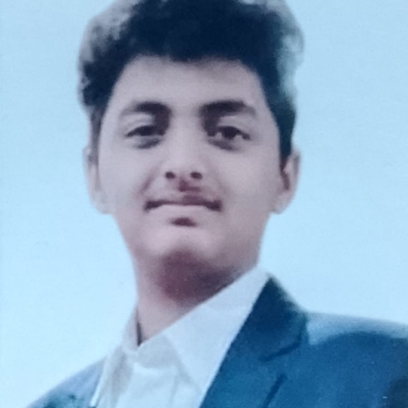 Ved Palsodkar