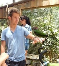 Антон Воеводов