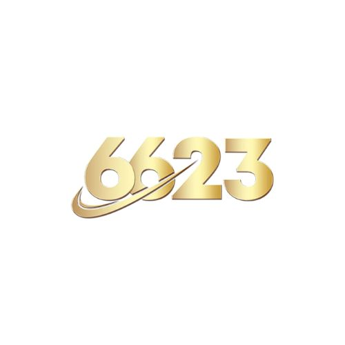 6623 Vnnet