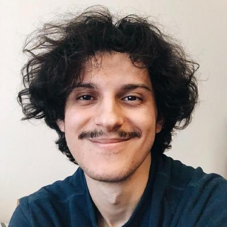 Burak Ibis