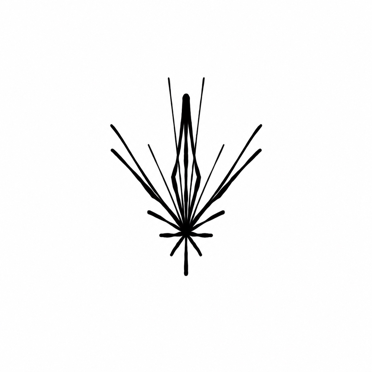 Seif Hashish