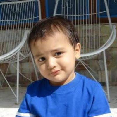 Taha Saqib