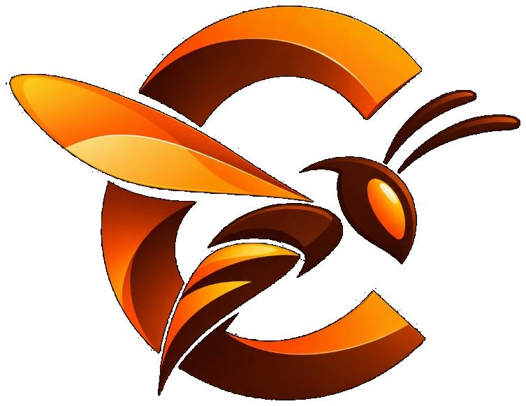 CASPERWASP TECHNOLOGIES CO LLC