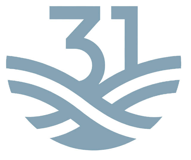 Net31