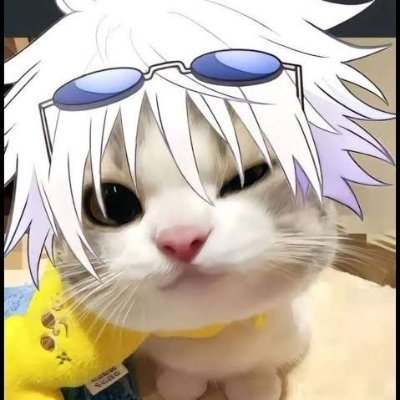 Rekki