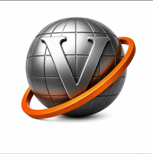 viginet consultancy