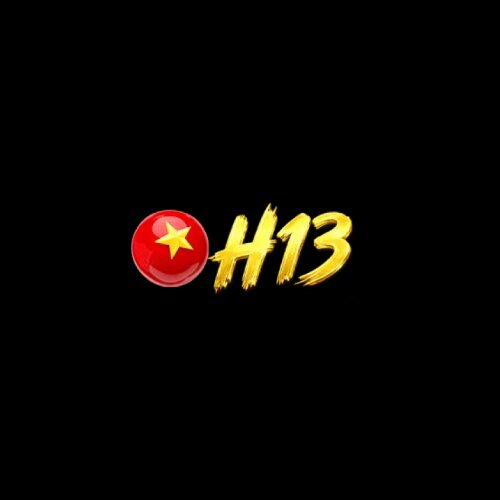 H13