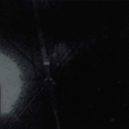 Gravadox