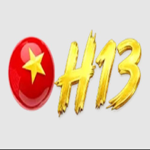 H13