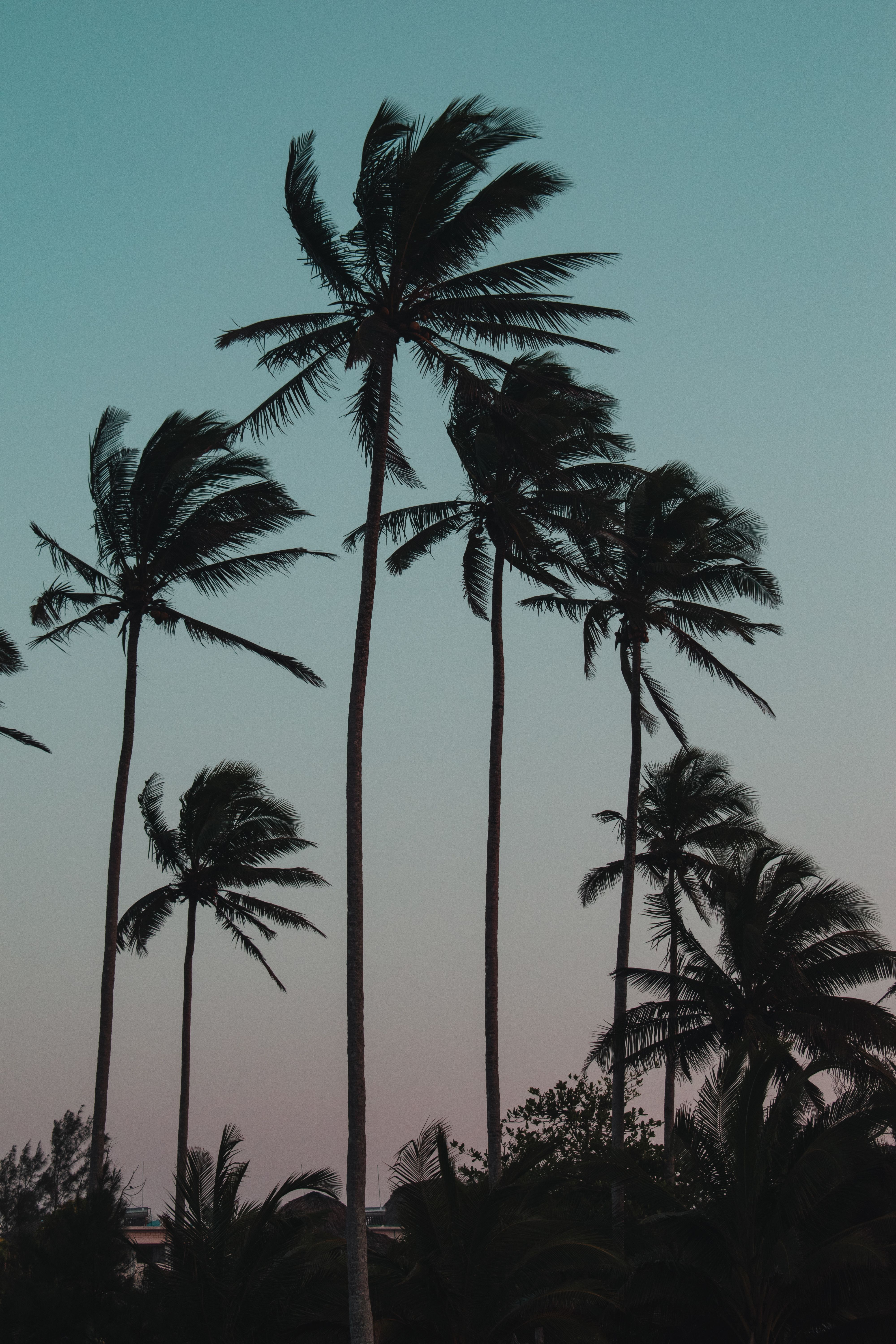 Dawid Rybicki