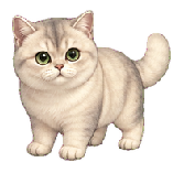 Felix
