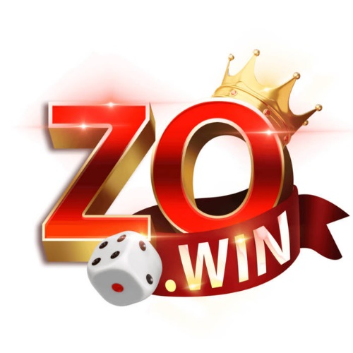 Zowin Playcom