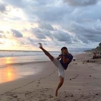 Laurens Vendrig Castillo