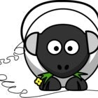video downloader