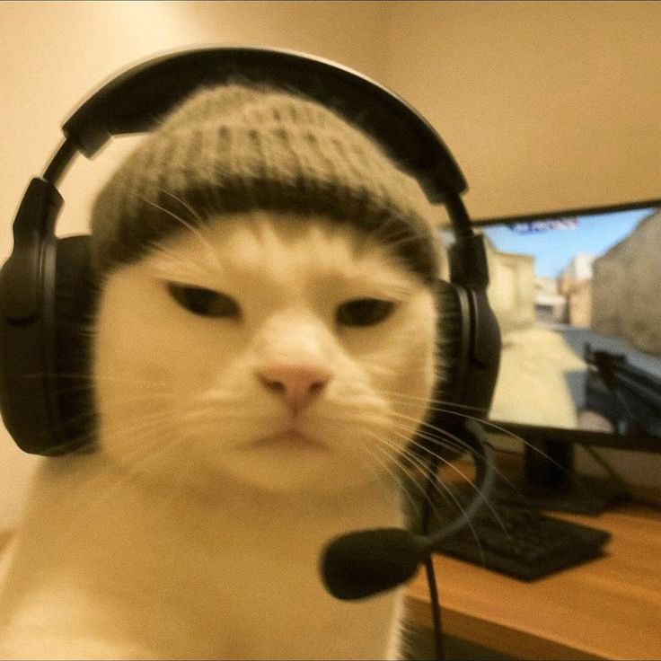 Dex