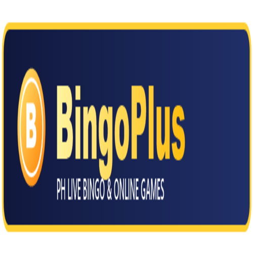 bingoplus fit 