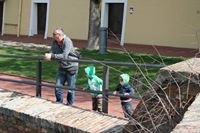 Синиша Ибрахимпашић