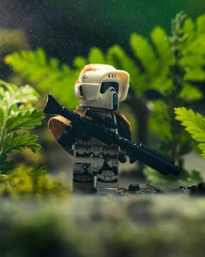 Linc138 