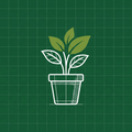 Desert Garden Plants