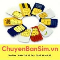 Chuyên Bán Sim